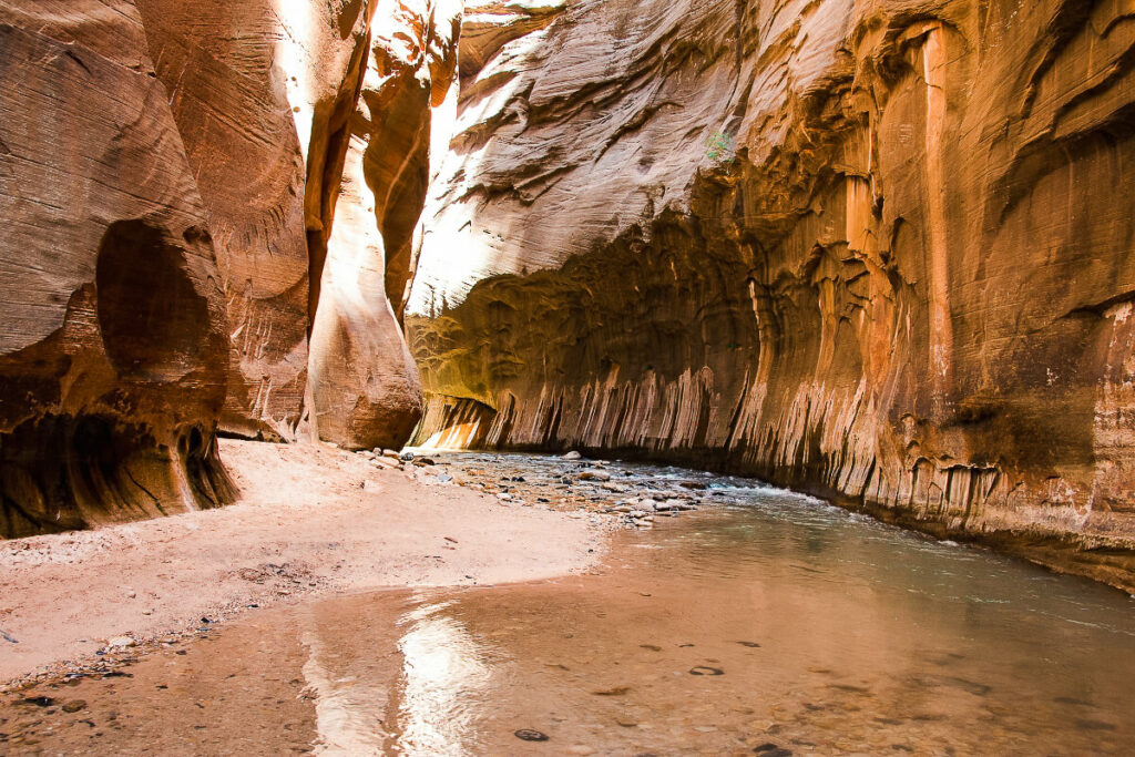 The Narrows hike in Zion National Park